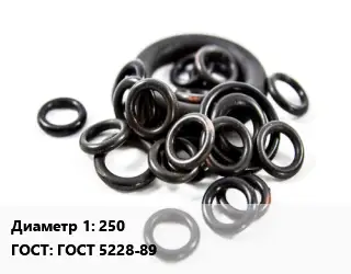 Кольцо РТИ 250 ГОСТ: ГОСТ 5228-89